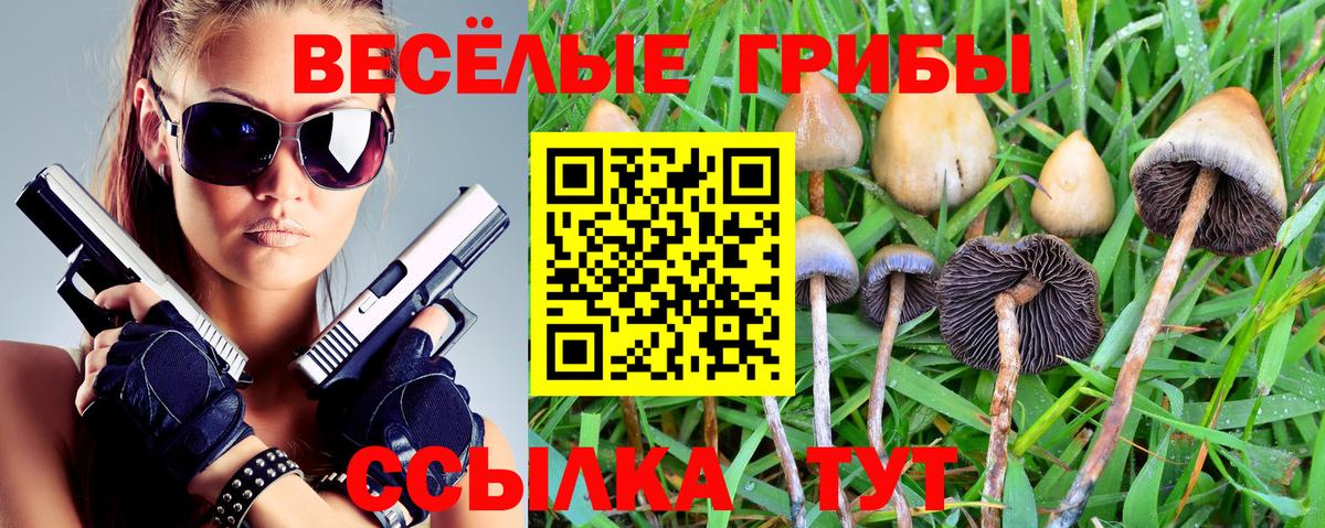 LSD-25 Обь