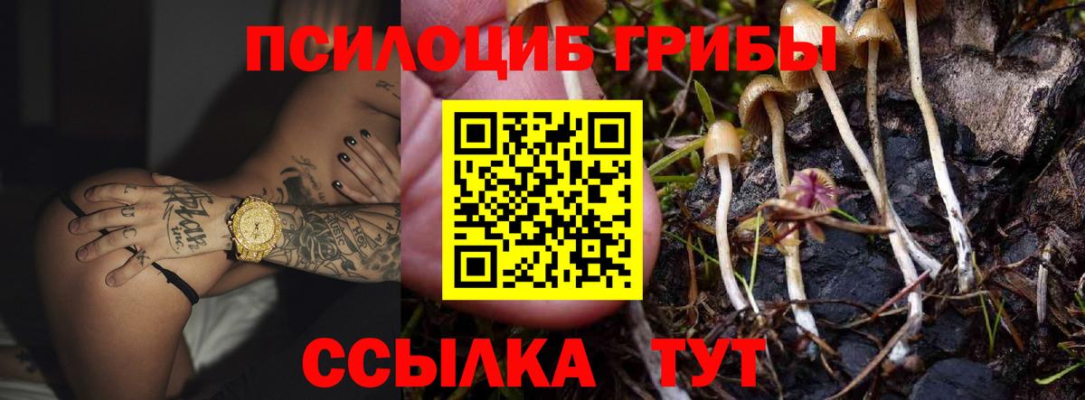 Псилоцибиновые грибы мицелий Обь