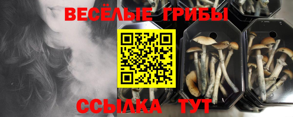 Галлюциногенные грибы ЛСД  Вход с VPN  Обь 